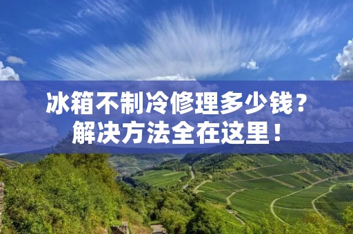 冰箱不制冷修理多少钱？解决方法全在这里！