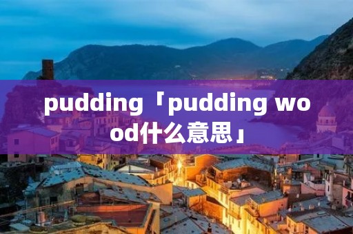 pudding「pudding wood什么意思」