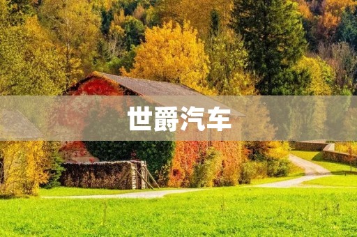 世爵汽车:奢华与品质的完美结合 世爵汽车:奢华与品质的完美结合