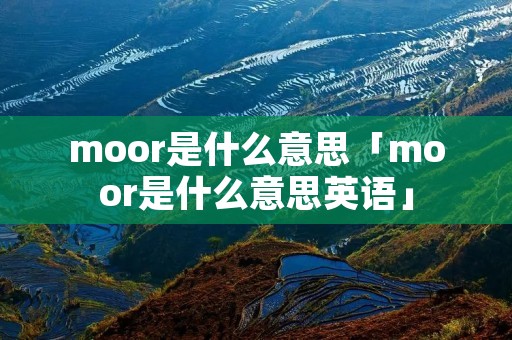 moor是什么意思「moor是什么意思英语」