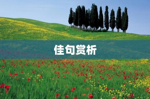 佳句赏析:从字里行间品味优美的语言艺术 佳句赏析:从字里行间品味优美的语言艺术