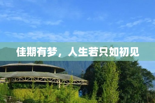 佳期有梦,人生若只如初见 佳期有梦,人生若只如初见
