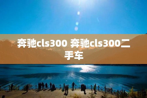 奔驰cls300 奔驰cls300二手车 奔驰cls300 奔驰cls300二手车