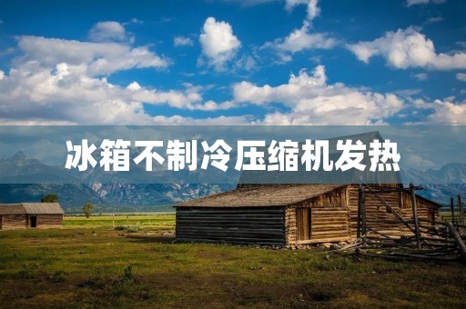 冰箱不制冷压缩机发热：原因分析与解决方法