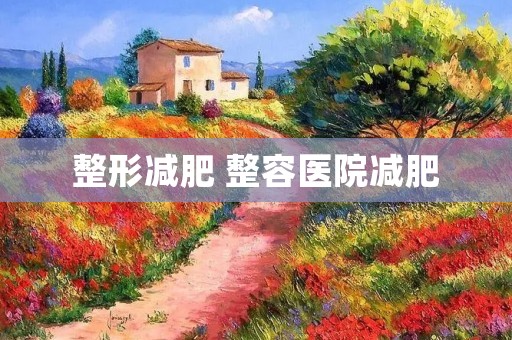 整形减肥 整容医院减肥