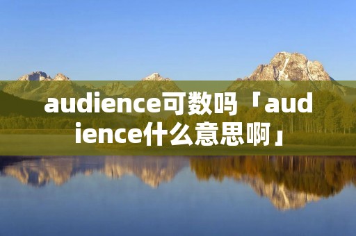 audience可数吗「audience什么意思啊」