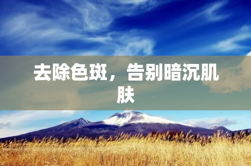 去除色斑，告别暗沉肌肤