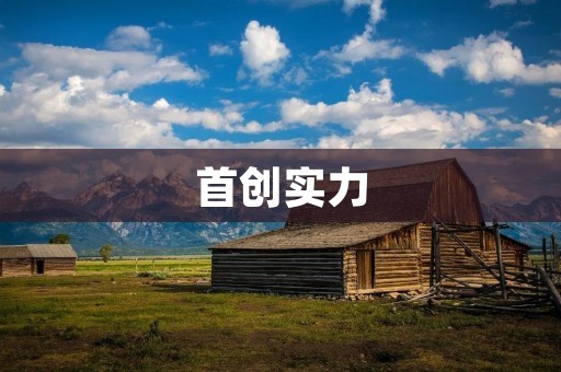 首创实力:成就卓越,开创未来 首创实力:成就卓越,开创未来