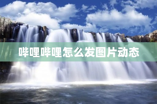 哔哩哔哩怎么发图片动态：详细教程