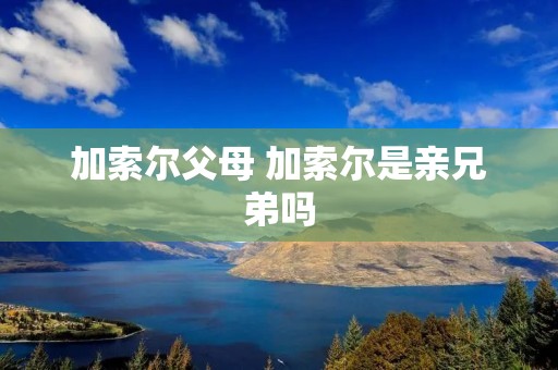 加索尔父母 加索尔是亲兄弟吗