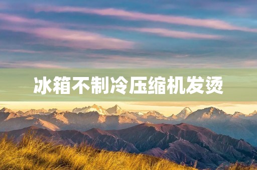 冰箱不制冷压缩机发烫：原因与解决方案