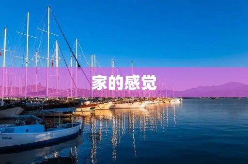 家的感觉:温馨、安全、舒适 家的感觉:温馨、安全、舒适