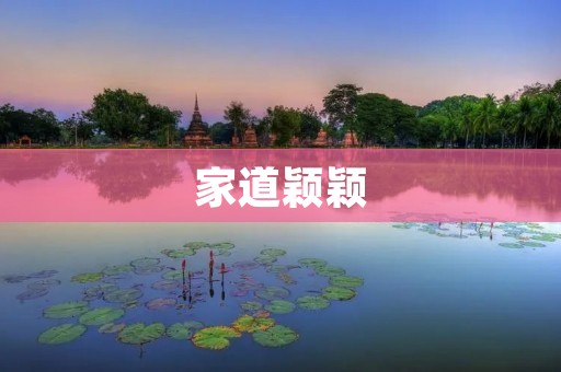 家道颖颖:一个普通家庭的奋斗故事 家道颖颖:一个普通家庭的奋斗故事