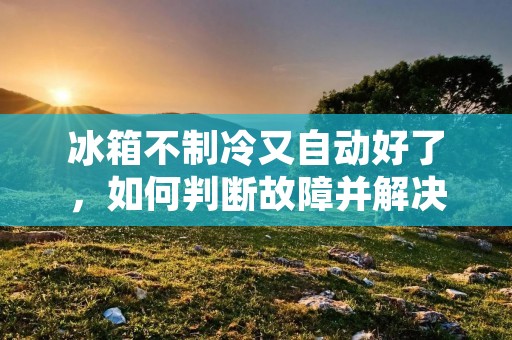冰箱不制冷又自动好了，如何判断故障并解决？
