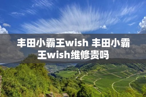 丰田小霸王wish 丰田小霸王wish维修贵吗 丰田小霸王wish 丰田小霸王wish维修贵吗