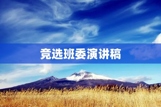 竞选班委演讲稿:用心,做你们的代表