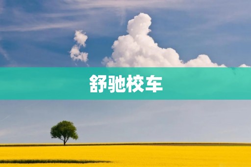 舒驰校车:保障孩子安全的首选 舒驰校车:保障孩子安全的首选