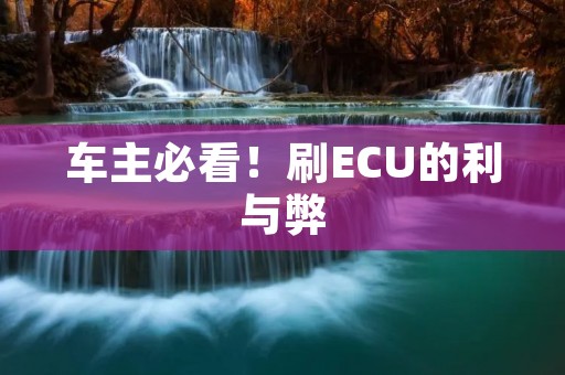 车主必看!刷ECU的利与弊 车主必看!刷ECU的利与弊