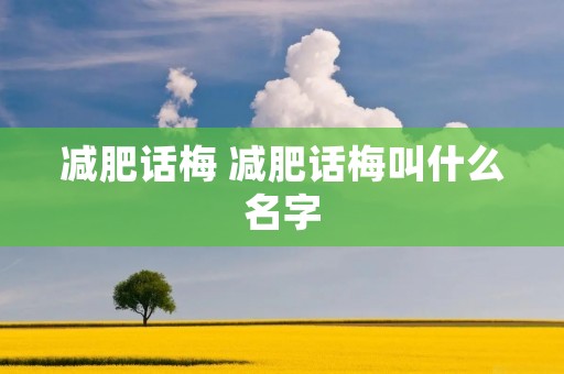 减肥话梅 减肥话梅叫什么名字