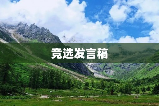 竞选发言稿:让我们一起创造美好未来