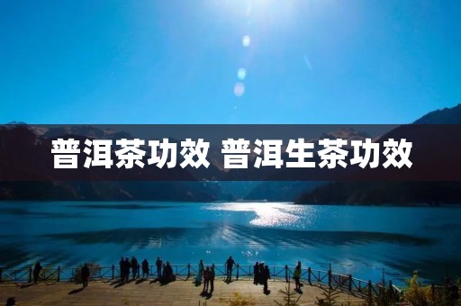 普洱茶功效 普洱生茶功效