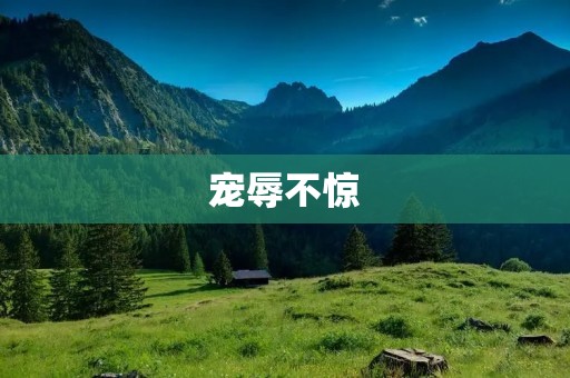 宠辱不惊:保持内心平静的境界
