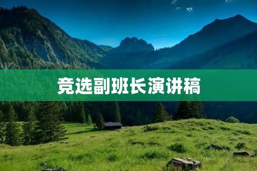 竞选副班长演讲稿