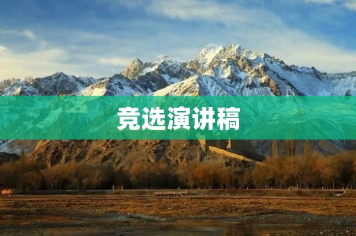 竞选演讲稿:愿为你们的声音发声