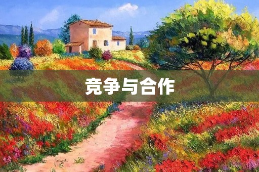 竞争与合作:走向共赢