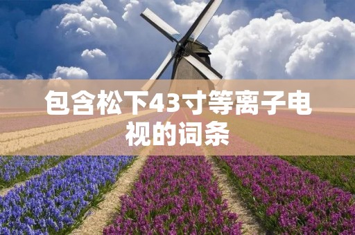 包含松下43寸等离子电视的词条 包含松下43寸等离子电视的词条