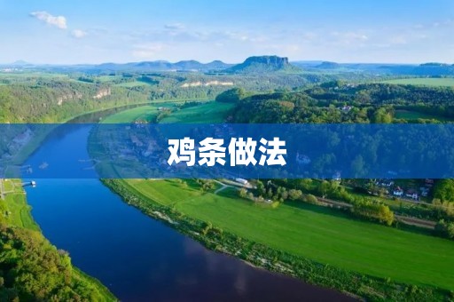 鸡条做法:简单易学,美味可口! 鸡条做法:简单易学,美味可口!
