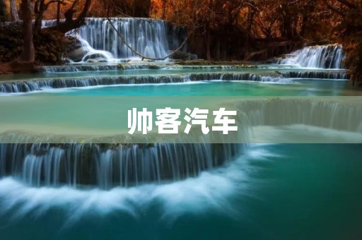 帅客汽车：让驾驶更加轻松愉悦的全新体验