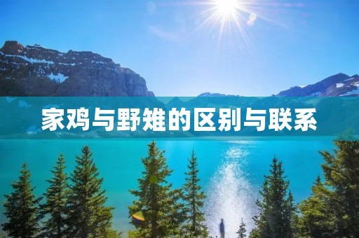 家鸡与野雉的区别与联系