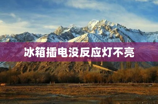 冰箱插电没反应灯不亮:该怎么办? 冰箱插电没反应灯不亮:该怎么办?