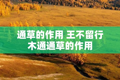 通草的作用 王不留行木通通草的作用