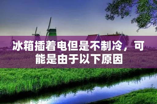 冰箱插着电但是不制冷，可能是由于以下原因