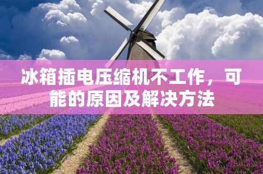 冰箱插电压缩机不工作,可能的原因及解决方法 冰箱插电压缩机不工作,可能的原因及解决方法