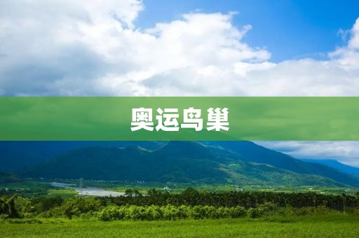奥运鸟巢：传承中华文化的现代化建筑
