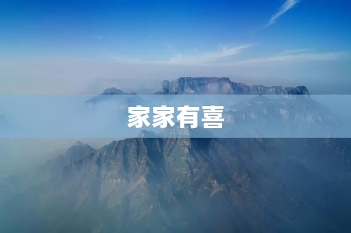 家家有喜：团圆年的幸福时光