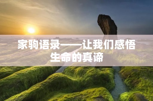 家驹语录——让我们感悟生命的真谛 家驹语录——让我们感悟生命的真谛