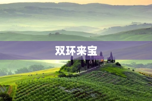 双环来宝:中国自主品牌汽车的崛起 双环来宝:中国自主品牌汽车的崛起