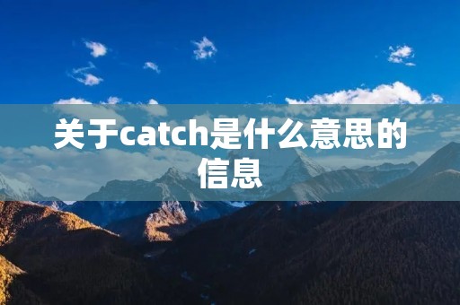 关于catch是什么意思的信息