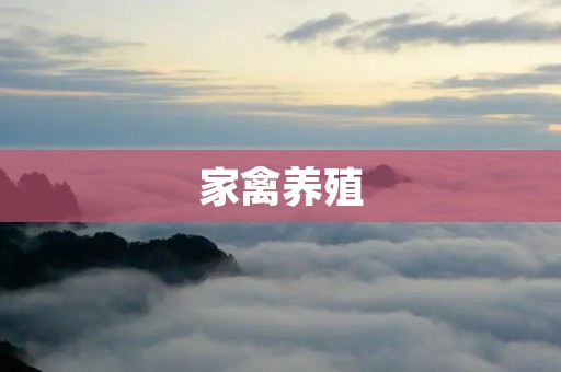 家禽养殖：从入门到精通