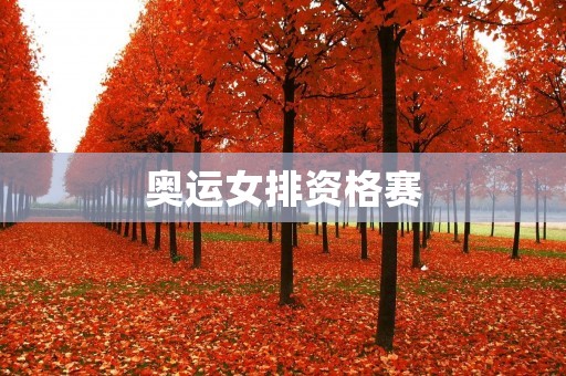 奥运女排资格赛:中国女排成功晋级东京奥运会 奥运女排资格赛:中国女排成功晋级东京奥运会