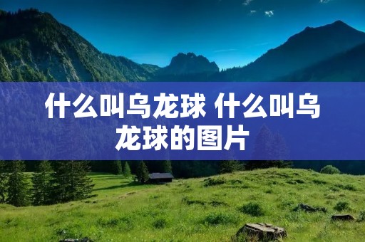 什么叫乌龙球 什么叫乌龙球的图片