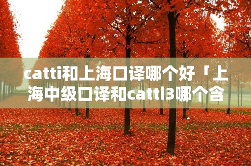 catti和上海口译哪个好「上海中级口译和catti3哪个含金量高」 catti和上海口译哪个好「上海中级口译和catti3哪个含金量高」