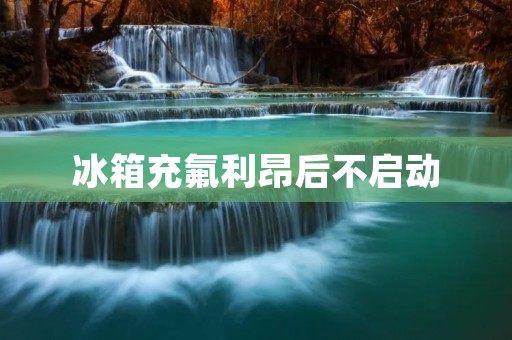 冰箱充氟利昂后不启动:原因及解决方法 冰箱充氟利昂后不启动:原因及解决方法
