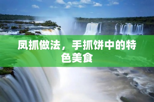 凤抓做法，手抓饼中的特色美食