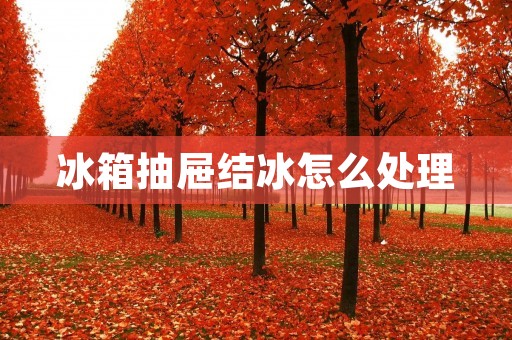 冰箱抽屉结冰怎么处理 冰箱抽屉结冰怎么处理