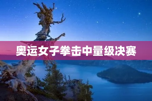 奥运女子拳击中量级决赛:美国选手摘金 奥运女子拳击中量级决赛:美国选手摘金